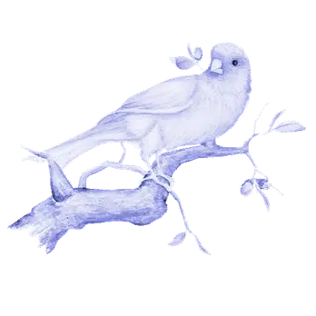 https://cdn-proxy.viding.org/4Z1Bug5qvIptGxz7Ht8zMNT1Hqp1EvT1YpYpBnjxnZg/rs:fit:232:0/dpr:1.5/f:webp/q:65/aHR0cHM6Ly9jZG4tYnVpbGRlci52aWRpbmcuY28vMzM2MzAvYnVydW5nLWJpcnUuZ2lm.webp