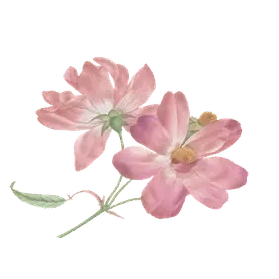 https://cdn-proxy.viding.org/A9Nr1csLycxKN5ooVx3xyFkpjePv8gr8lmtvVWVlJVA/rs:fit:186:0/dpr:1.5/f:webp/q:65/aHR0cHM6Ly9jZG4tYnVpbGRlci52aWRpbmcuY28vMjYzOTUvQ29tcC0zLmdpZg.webp
