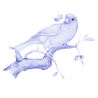 https://cdn-proxy.viding.org/PpGU8MuqZBwAqPNEgU2jXhvDohrZ5yd2DatlzGpSAWY/rs:fit:221:0/dpr:1.5/f:webp/q:65/aHR0cHM6Ly9jZG4tYnVpbGRlci52aWRpbmcuY28vMzM2MzAvYnVydW5nLWJpcnUuZ2lm.webp