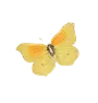 https://cdn-proxy.viding.org/VcLe0EJ0Ym0Il12lvFGPIg2RYRHxOhR7x5XMLSOWkWE/rs:fit:60:0/dpr:1.5/f:webp/q:65/aHR0cHM6Ly9jZG4tYnVpbGRlci52aWRpbmcuY28vMzA4ODYvSGFpbHVvLVZpZGVvLUNyZWF0ZS1hLXNtb290aC1hLXVuc2NyZWVuLmdpZg.webp