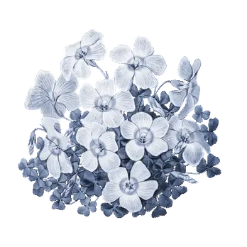 https://cdn-proxy.viding.org/epSds-uwAVCaOKVoQm3fcKgnopZ3qgl1GWp5UJspIwQ/rs:fit:232:0/dpr:1.5/f:webp/q:65/aHR0cHM6Ly9jZG4tYnVpbGRlci52aWRpbmcuY28vMjYzODcvYnVuZ2EtYmlydS5naWY.webp