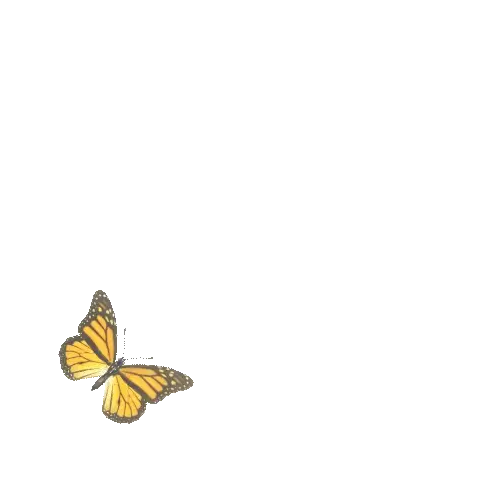 https://cdn-proxy.viding.org/pnVHRce7EibklTighGngT5Rjb4XLRf-L85hRmXvug7g/rs:fit:385:0/dpr:1.5/f:webp/q:65/aHR0cHM6Ly9jZG4tYnVpbGRlci52aWRpbmcuY28vMjM4NDYvQ29tcC02LmdpZg.webp