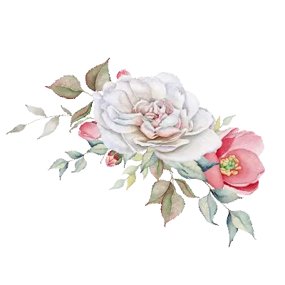 https://cdn-proxy.viding.org/q9vvdbGGqFye5skvtX4mXg6V1AYk_uI7jsDip3IlbYs/rs:fit:291:0/dpr:1.5/f:webp/q:65/aHR0cHM6Ly9jZG4tYnVpbGRlci52aWRpbmcuY28vMjkwNTQvQ29tcC0xLmdpZg.webp